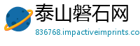 泰山磐石网